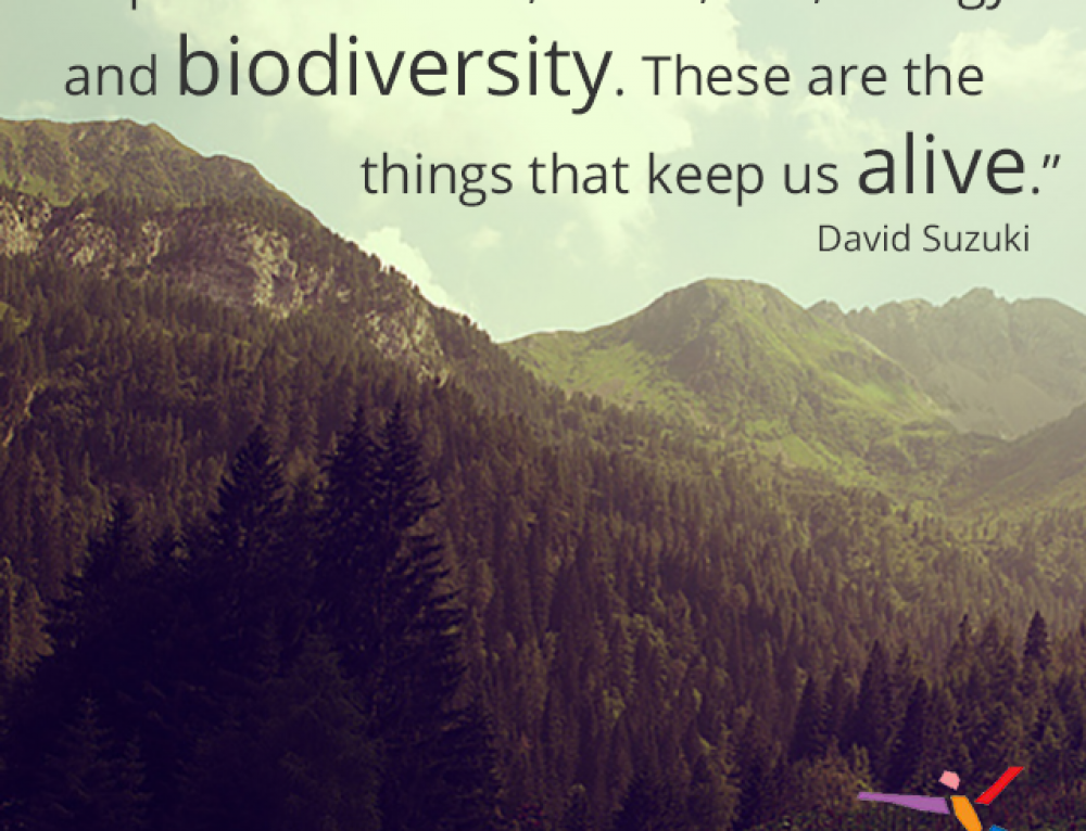 Favorite Biodiversity Quotes: Meaning to Humanity - Postconsumers